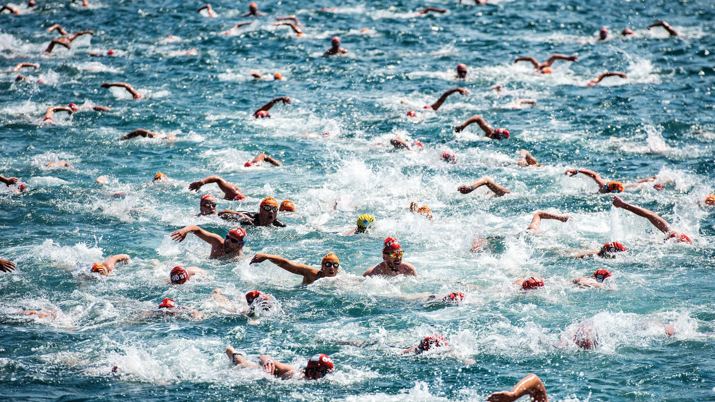 Open Water Swimming